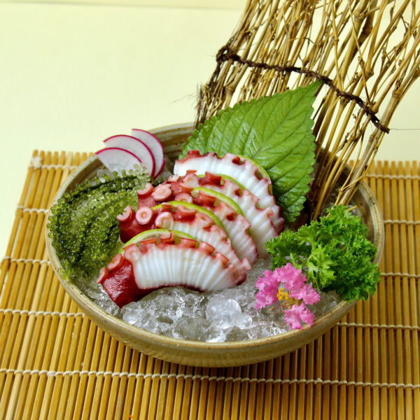 SASHIMI BẠCH TUỘC
